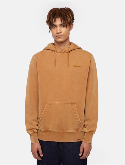 Dickies Plentywood hoodie